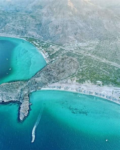 La Ballena Pelechada Que Divide Las Playas De Muleg Un Tesoro