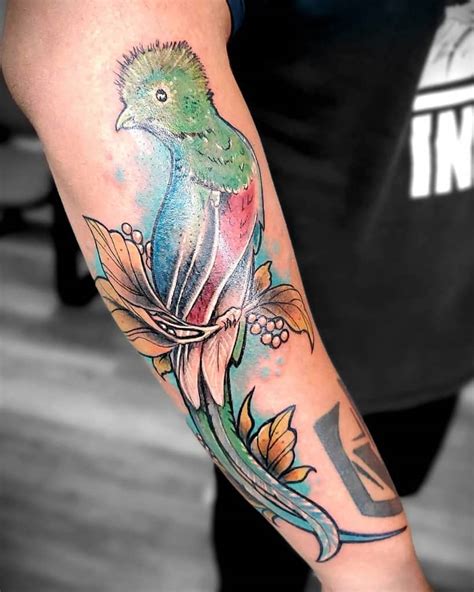 Top Best Quetzal Tattoo Ideas Inspiration Guide