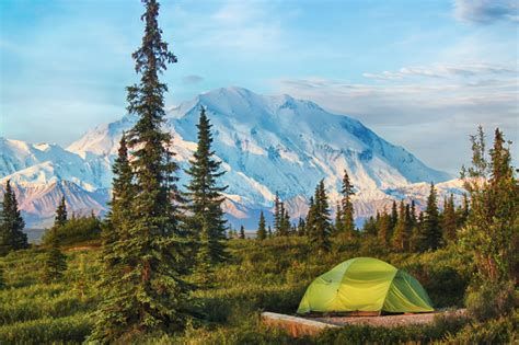 Denali National Park Campgrounds | Nation's Vacation