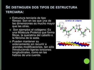 Prote Nas Estructura Terciaria Ppt