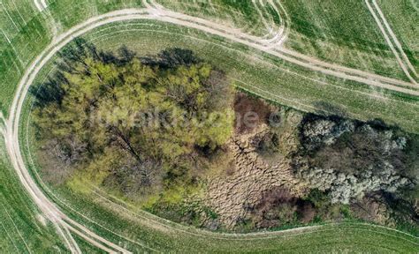 Luftaufnahme Steinh Fel Baum Insel Auf Einem Feld In Steinh Fel Im