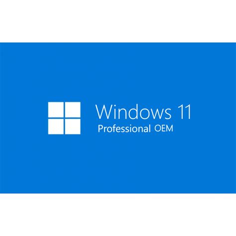 Windows 11 Pro 1pc Digital Original Oem