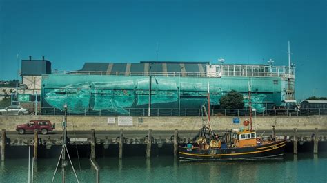 Sea Walls Murals For Oceans Napier City Council