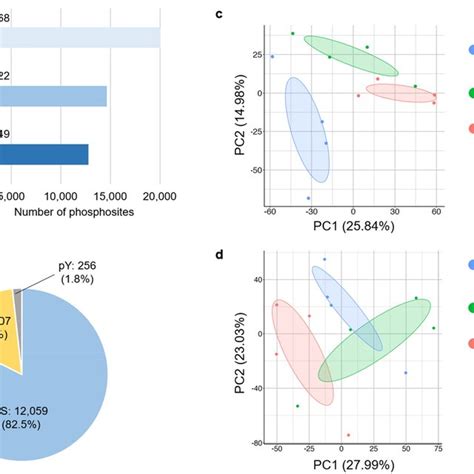 Of The Results Of Phosphoproteomic Analysis A Number Of Identified