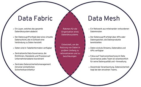 Data Mesh Vs Data Fabric A Comparison Of Data Architectures Dataciders