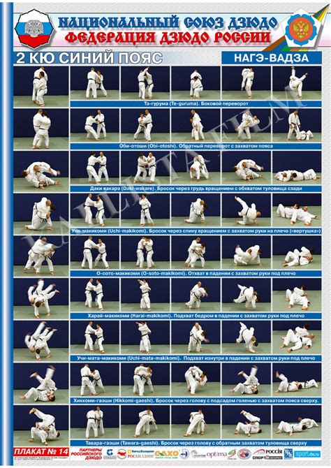 Posters Judo Blue Belt 1 Posterthe Technique Of Judonage Waza