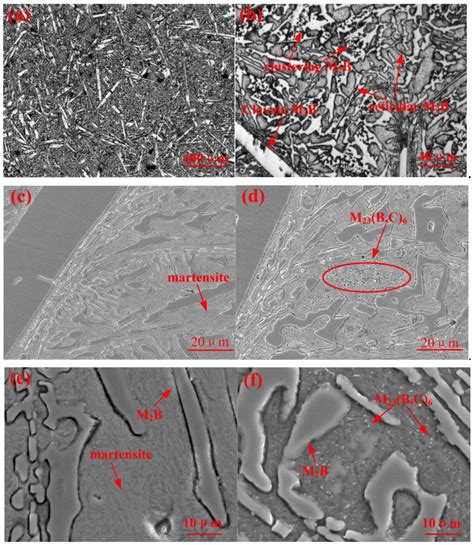 Metals Free Full Text Investigations On Microstructure And