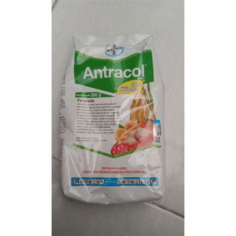 Jual Fungisida Antracol 70 Wp 250 Gr Shopee Indonesia