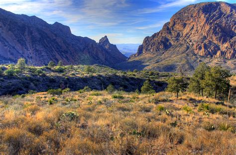 Road Trips For Nature Lovers A Visitor S Guide To Big Bend National