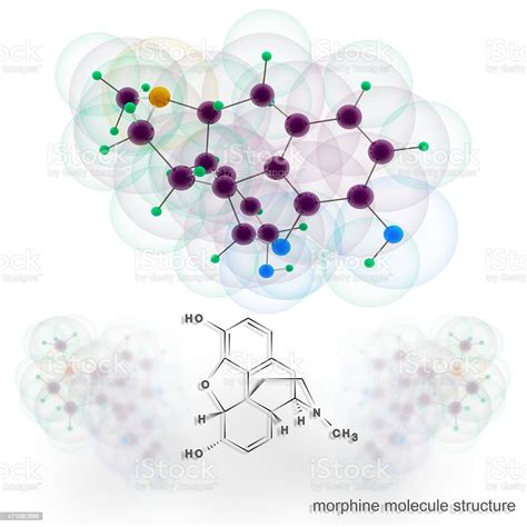 Struktur Molekul Morfin Foto Stok Unduh Gambar Sekarang 2015 Analgesik Atom Istock