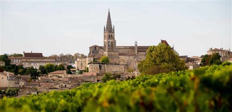 The Best Saint Émilion Wine Tasting And Winery Tours 2024 Free