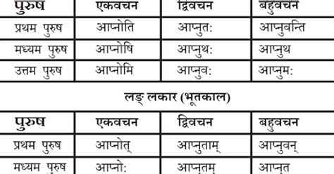 आप् धातु के रूप संस्कृत में Aap Dhatu Roop In Sanskrit Hindivyakran