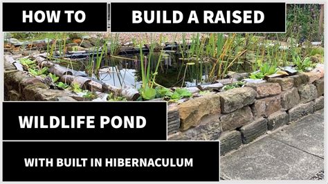 How To Build A Raised Wildlife Pond With A Built In Hibernaculum