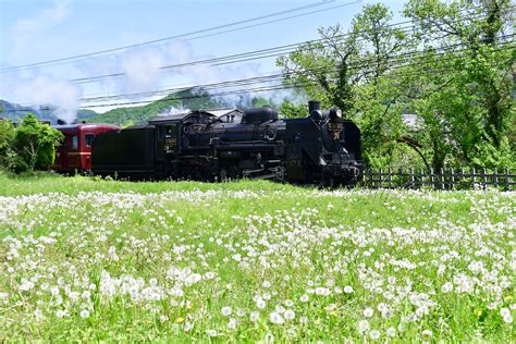 秩父鉄道のslパレオエクスプレスが4月1日運行開始 熊谷駅での出発式に林家たい平師匠が出演｜秩父鉄道株式会社のプレスリリース