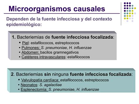 Tema Bacteriemia Y Endocarditis Infecciosa Ppt