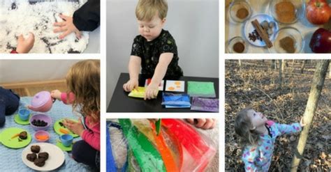 25 Sensory Science Activities Exploring The Five Senses Inspiration