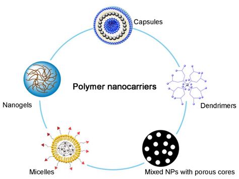 Ijms Free Full Text Targeted Delivery Of Drugs And Genes Using