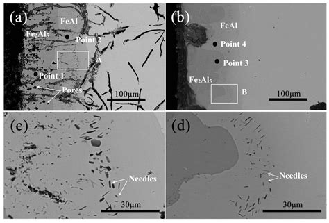 Metals Free Full Text Influence Of Graphite Morphology On Phase