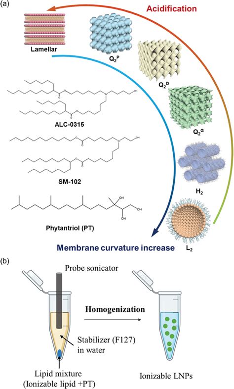 A Molecular Structures Of Two Ionizable Lipids ALC0315 And SM102