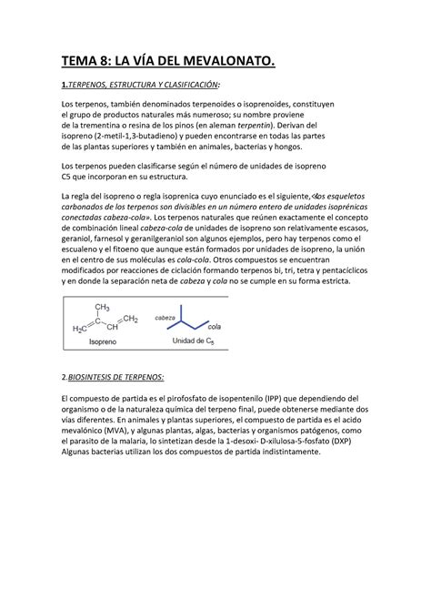 Resumen TEMA 8 Bioorganica TEMA 8 LA VÍA DEL MEVALONATO 1 TERPENOS