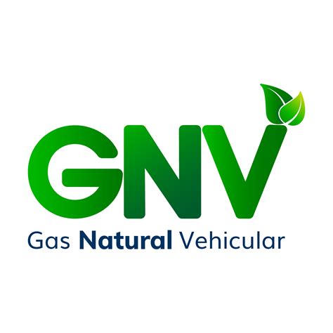 P Ginas Gas Natural Vehicular