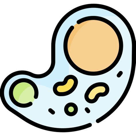 Amoeba Special Lineal Color Icon