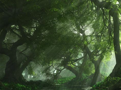 3D Forest Wallpaper - WallpaperSafari