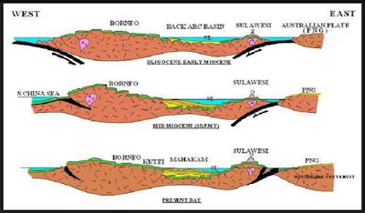 GenofL Inc Cekungan Indonesia Basin Of Indonesia