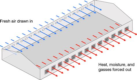 Cross-ventilation systems - Swineweb.com - Complete Swine News, Markets ...