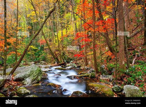 Smith Creek Flowing From Anna Ruby Falls Georgia Usa In Autumn Stock