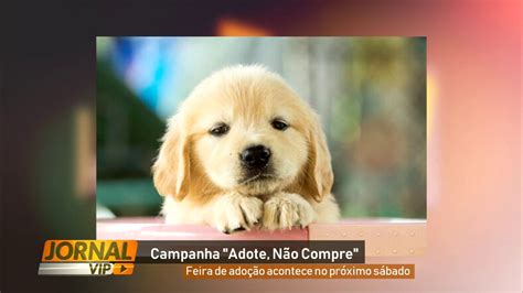 Feirinha De Doa O De Animais Acontece No Pr Ximo S Bado Youtube