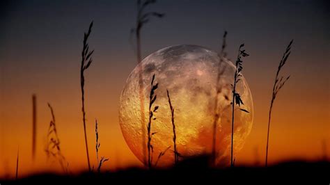 Moonlit Sunset Silhouettes 4k Ultra Hd Wallpaper