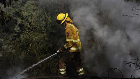 Por Amenaza De Incendios Forestales Declaran Alerta Temprana