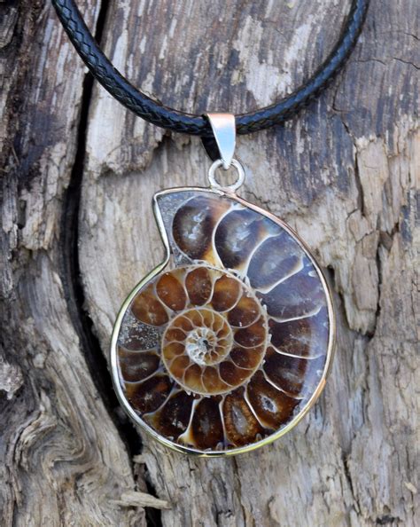 Collier Pendentif Fossile Ammonite Cm V Ritable Cadeau Pendentif