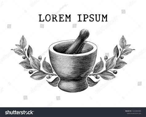 Mortar And Pestle With Herbs Frame Vintage Engraving Illustration Logo