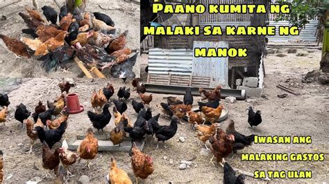 PAANO KUMITA NG MALAKI SA KARNE NG MANOK BAKIT MALAKI ANG GASTOS SA