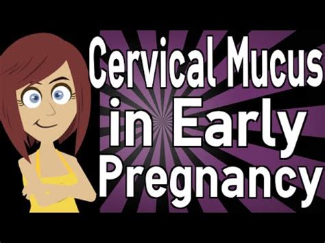 Cervical Mucus During Early Pregnancy