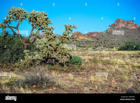 An Overlooking View Of Lost Dutchman Sp Arizona Stock Photo Alamy