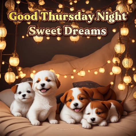 Good Thursday Night Sweet Dreams Megaport Media képek videók