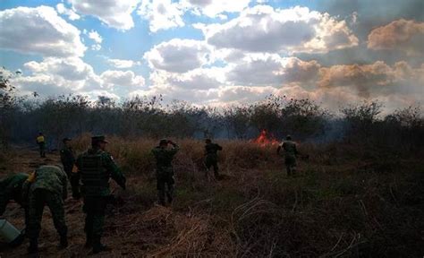 Incendios Impactan Unas Tres Mil Hectáreas De Zonas Forestales En Yucatán