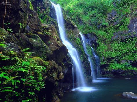 Maui Waterfalls Wallpapers 4k HD Maui Waterfalls Backgrounds On