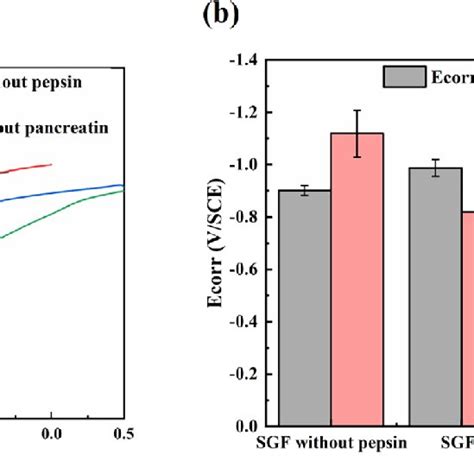 A Pdp Curves Of Pure Zn After Immersion B Electrochemical