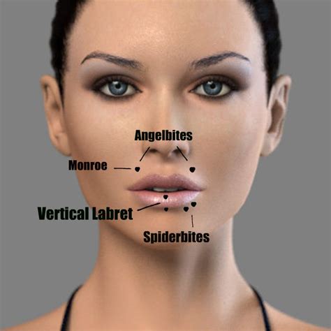 Face Piercings Chart