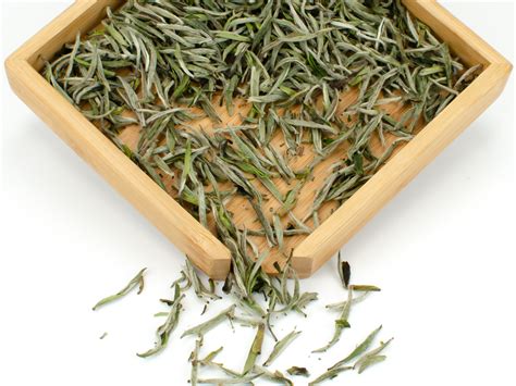 About Silver Needle Bai Hao Yin Zhen White Tea