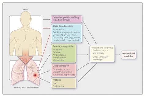 Lung Cancer Screening Nejm