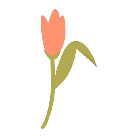 Uma Ilustra O Vetorial De Tulipa Vetor Premium