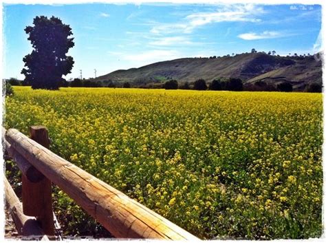 Northwest Open Space In San Juan Capistrano Walk Simply San Juan