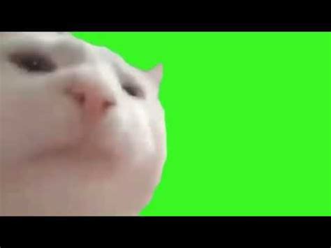 View 16 Vibing Cat Meme Gif Transparent - peevcesz