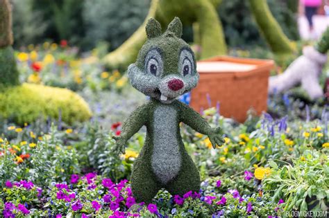 Mickey Minnie Pluto Chip Dale Topiaries Installed For Epcot