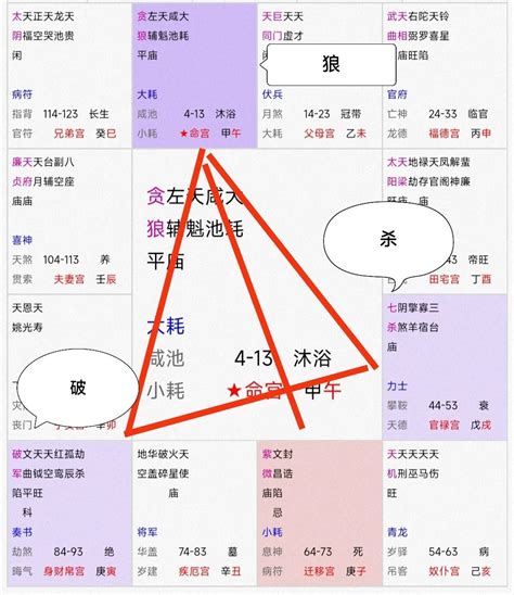 紫微斗数案例紫微星在子的宫位 霄云腾国学